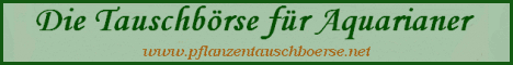 Aquarienforum