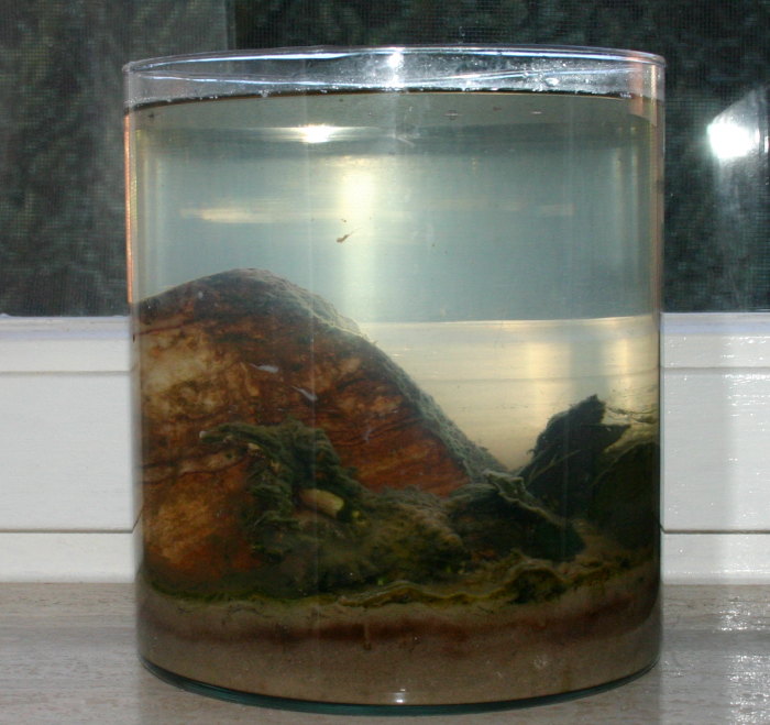 Artemienvase