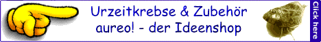 Aureo der Ideenshop