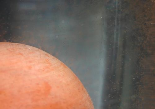 Krebsgewusel im Becken