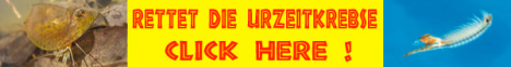 Petition Rote Liste Urzeitkrebse