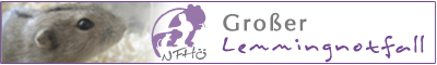 Gro�er Lemmingnotfall in �sterreich