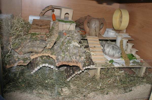 Eingerichtetes Gehege