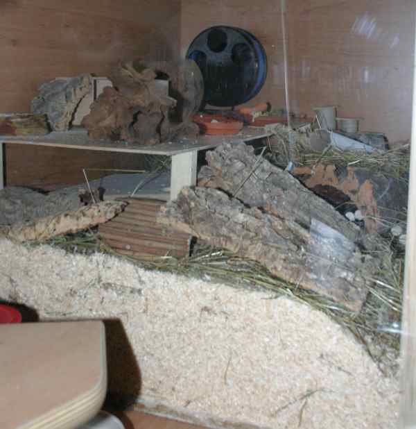 Eingerichtetes Gehege