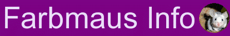 Farbmaus Info