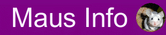 Farbmaus Info