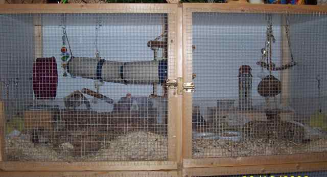 Ganzer Stall Vorderansicht