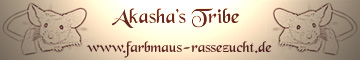 Mäusezucht