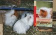 Lotte mit Buch