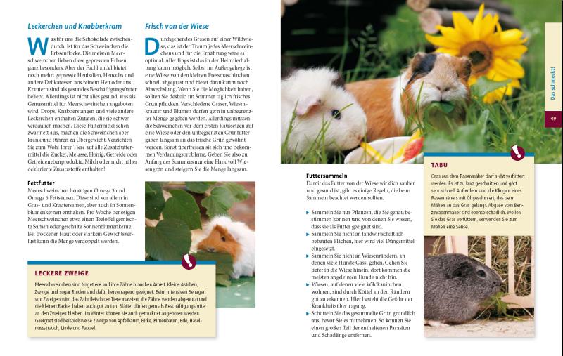 Ihr Hobby Meerschweinchen Ernährung