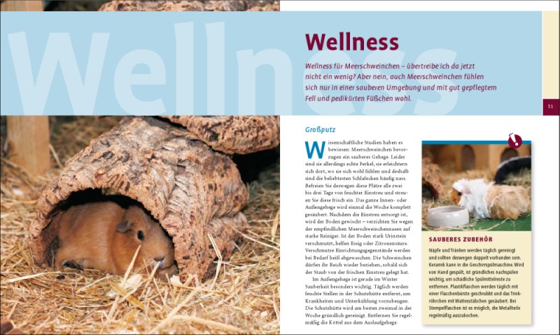 Ihr Hobby Meerschweinchen Wellness
