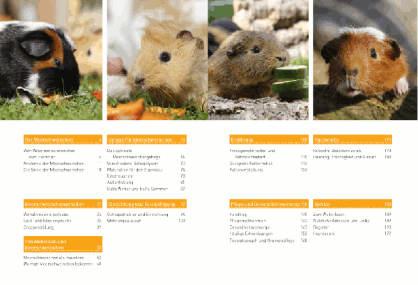 Das Kosmos Handbuch Meerschweinchen Inhalt