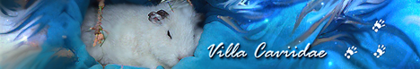 Villa Caviidae