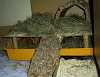 Etage