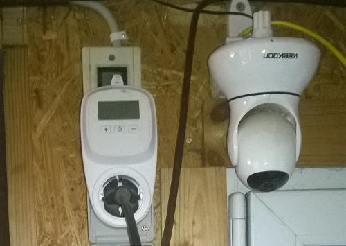 Rotlicht im Meerschweinchengehege