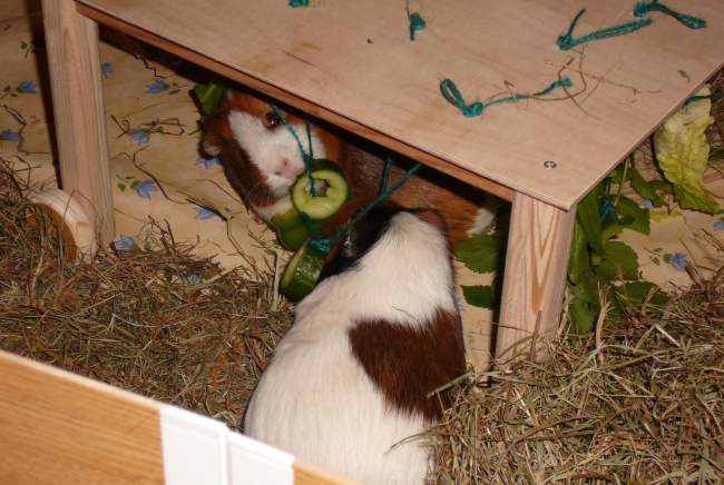 Beschäftigungstisch