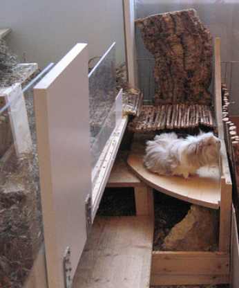 W&ouml;lkchen auf &Uuml;bergang