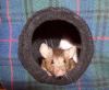 Kuschelsache