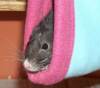Kuschelsache