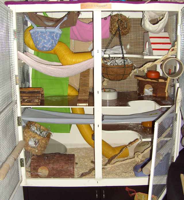 Voliere f&uuml;r Ratten zu