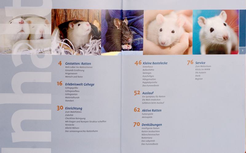 Rattenbuch Inhaltsverzeichnis