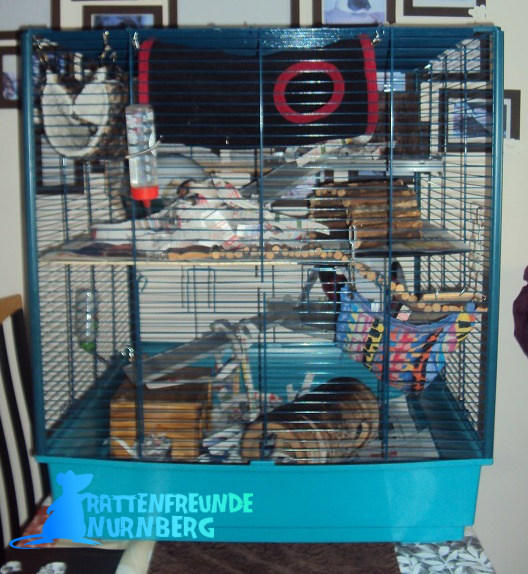 Furet Rattenkäfig