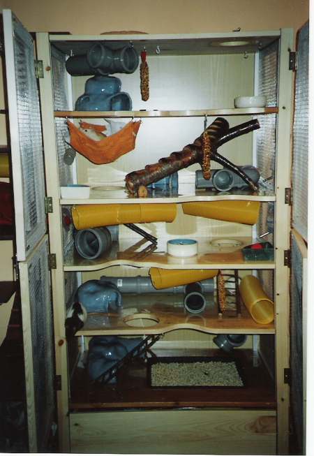 Voliere f&uuml;r Ratten offen