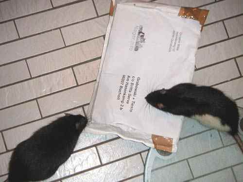 Was ist das?