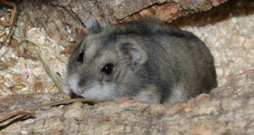 Berta ist verknittert