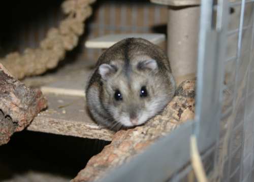 Berta will nicht raus