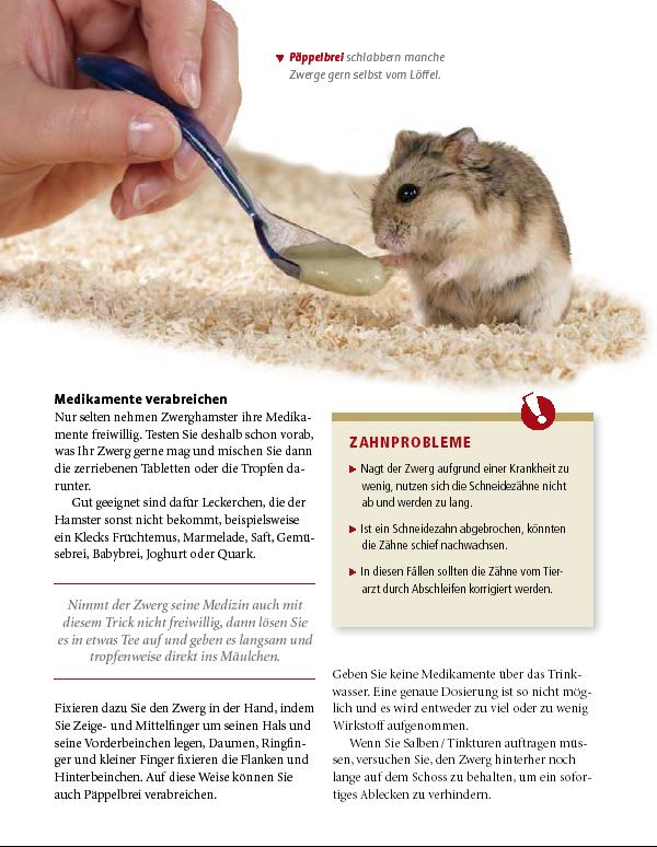Zwerghamster Medikamentengabe