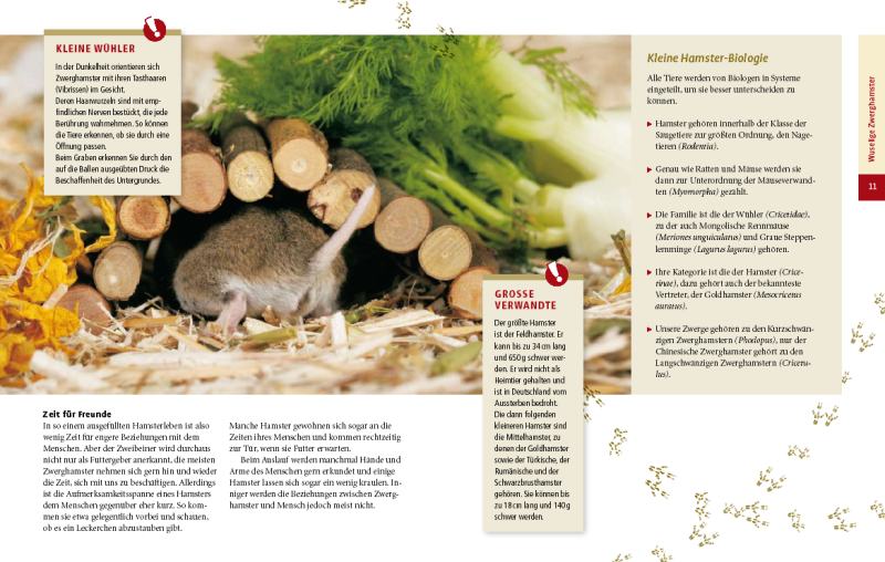 Zwerghamster Inhaltsverzeichnis