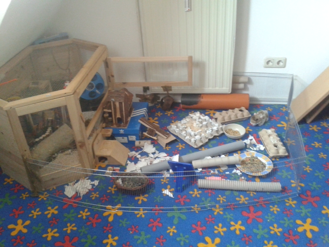 Hamstergehege mit Auslauf