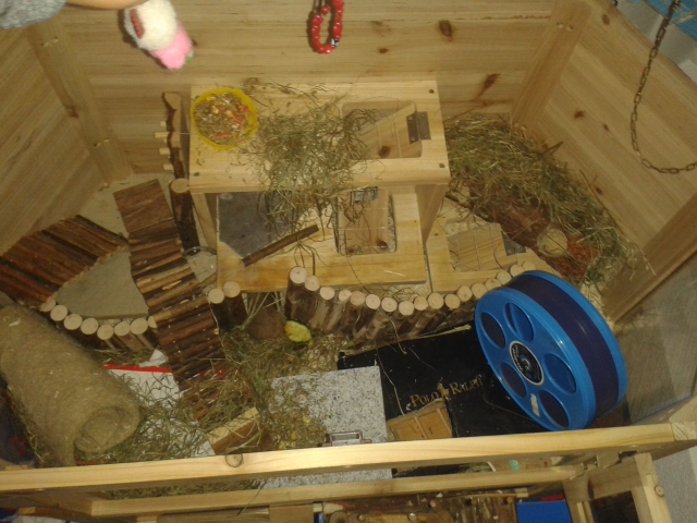 Hamstergehege mit Auslauf
