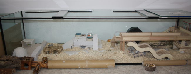 Aquarien f&uuml;r Zwerghamster