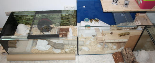 Aquarien f&uuml;r Zwerghamster