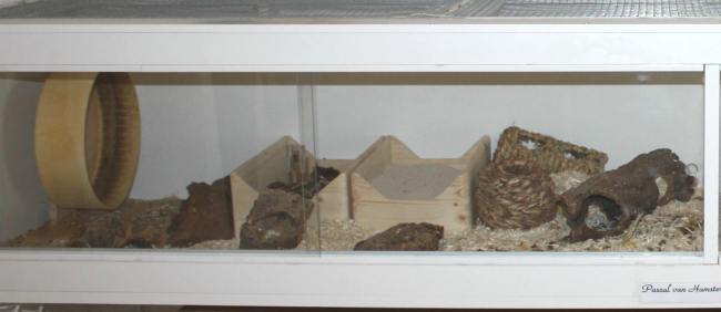 Hamstergehege