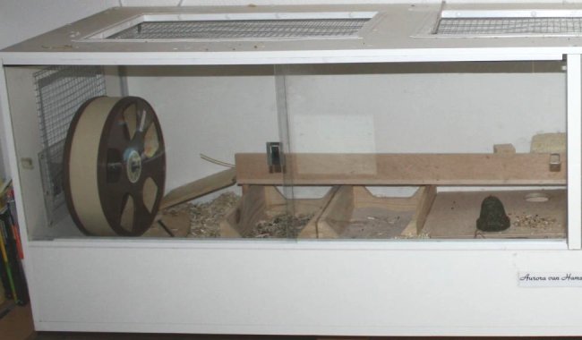 Hamstergehege