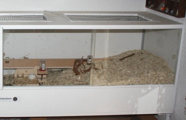 Hamstergehege