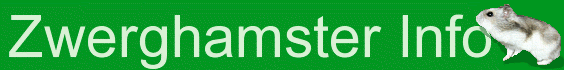 Zwerghamster-INFO